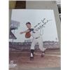 Image 4 : 3-Whitey Ford NY Yankee Autographed Photo w/Photo File Print - 3 X $