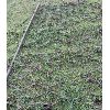 Image 2 : CHAIN HARROWS - 12 FOOT