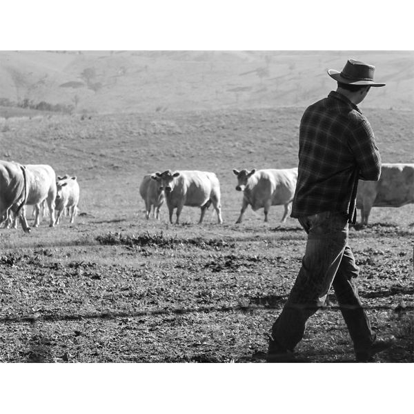 RON HODGKINSON - 85 YEARS A FARMER