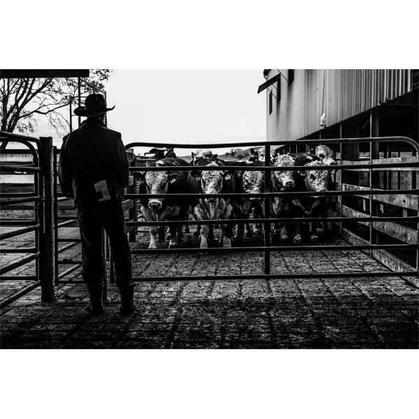 WELCOME TO THE BERKELEY SALE!