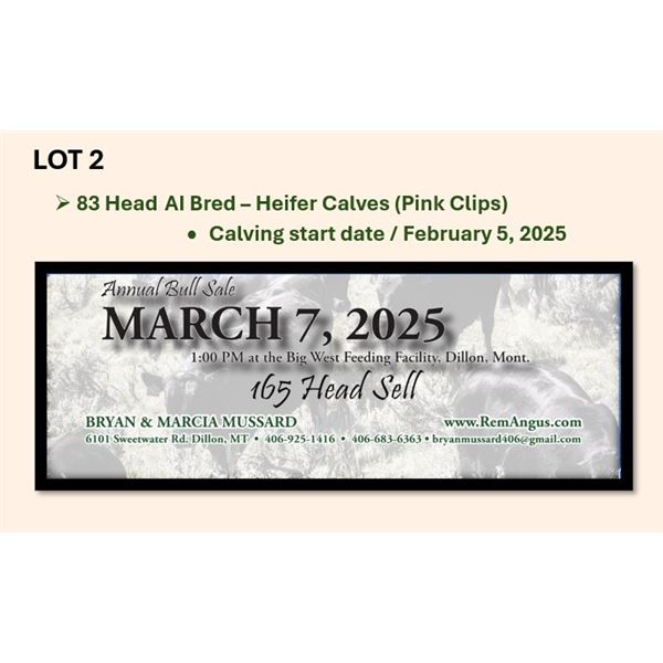 83 Head AI Bred – Heifer Calves (calving start Feb 5th)