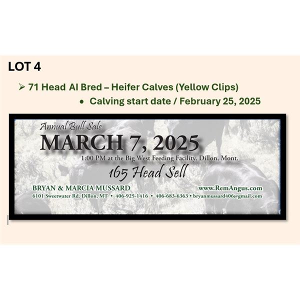 71 Head AI Bred – Heifer Calves (Calving start Feb 25th)