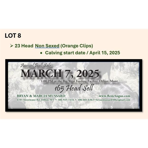 23 Head Non Sexed (Calving start April 15th)