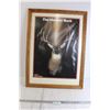 Image 1 : * The Hanson Buck Oak Framed + Glass (2) Sides - Poster and Details on Back, 23" x 30 1/2"