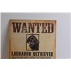 Image 2 : Wanted Labrador Retriever Tin Sign - 12 1/2" x 16"