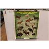 Image 1 : Know Your Big Game of North America Poster - 23" x 29"