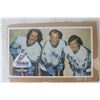 Image 2 : The Howe Family Houston Aeros Picture