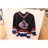 Image 1 : Vancouver Canucks Jersey (size lg)