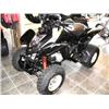 Image 1 : 2004 Mongoose 250 4-wheeler CBT Drive, Full Suspension 4 stroke Engine, Liquid Cooled, Front and Rea