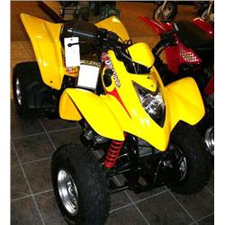 2004 Yellow Mongoose 250 4-wheeler CBT Drive, Full Suspension 4 stroke Engine, Liquid Cooled, Front 
