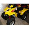 Image 1 : 2004 Mongoose 250 4-wheeler CBT Drive, Full Suspension 4 stroke Engine, Liquid Cooled, Front and Rea
