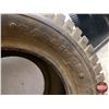 Image 3 : TIRE (1): Carlisle Turf Saver 20x10-10 (4 Ply) (New Old Stock) (SEE PICS!)