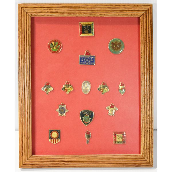 LAPD PIN COLLECTION