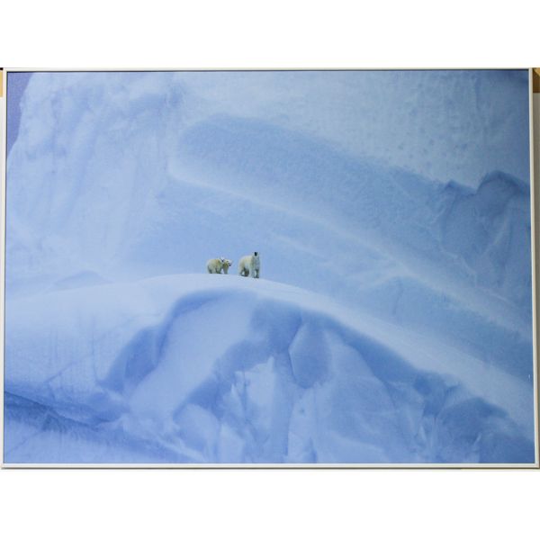 POLAR BEAR FAMILY ON ICEBERG WALL ART