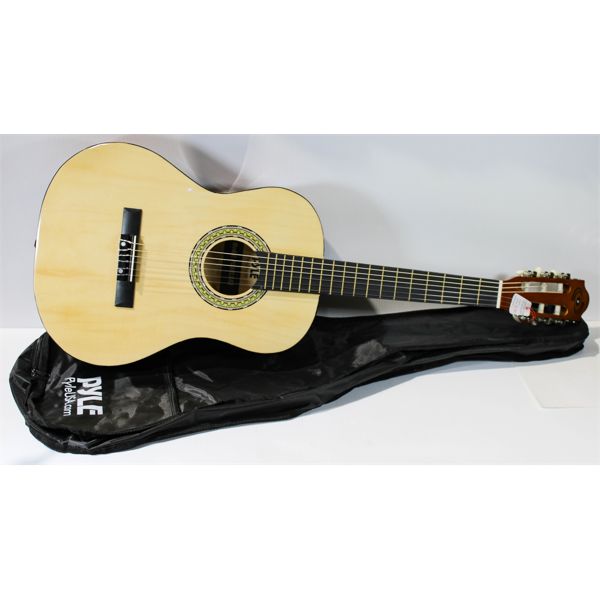 NEW PYLE ACOUSTIC GUITAR & BAG