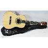 Image 1 : NEW PYLE ACOUSTIC GUITAR & BAG