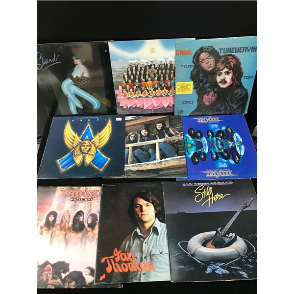 LOT OF VINYL RECORDS VARIOUS TITLES GOOD CONDITION