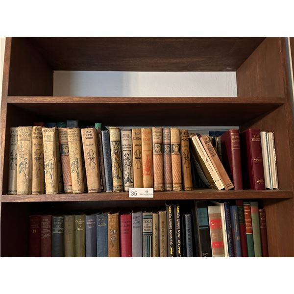 Assorted Books Of Vintage Rise Series