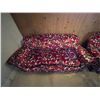 Image 5 : Sofa And Couch With Red Flora Design 80x33