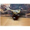 Image 1 : Taxidermy Mounted Pheasant 20x15