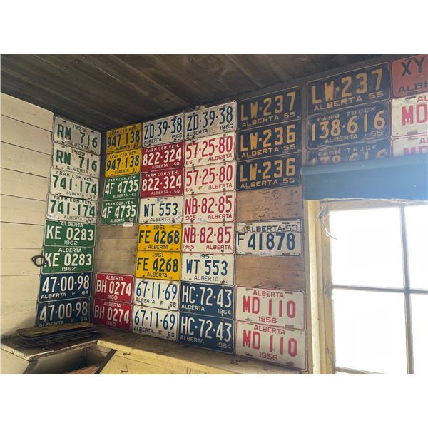 Large Alberta License Plate Collection Must Remove From Wall 70+ Pieces