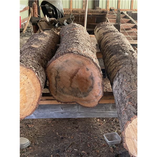 3 Large Logs 13ft Long