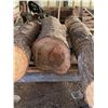Image 1 : 3 Large Logs 13ft Long