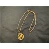 Image 1 : 10K 17" CHAIN WITH 10K LION PENDANT 9.1G