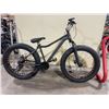 Image 2 : GREY NO NAMED 21 SPEED FRONT SUSPENSION FAT TIRE MOUNTAIN BIKE WITH FULL DISC BRAKES