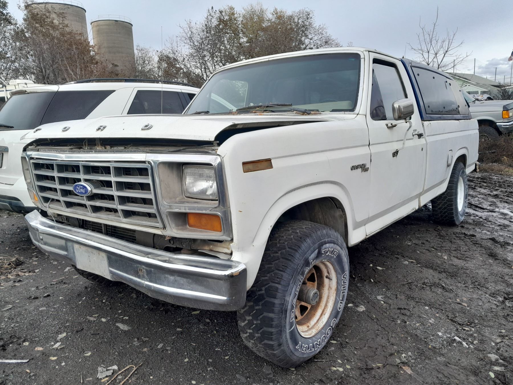 1981 F150 1981 Ford F-150 Base