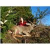Image 2 : 5-Day, Oregon Blacktail Deer Hunt for Two Hunters with Spoon Creek Outfitters