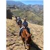 Image 2 : SUMMER HORSE PACK TRIP FOR TWO IN THE JARBIDGE WILDERNESS
