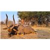 Image 2 : 10-Day South African Multi-Species Hunt for 1 Hunter & 1 Non-Hunter with Thaba-Tala Safaris