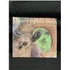 Image 1 : Photo Album "Desert Bighorn Sheep"