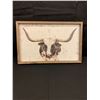 Image 1 : Bull Picture