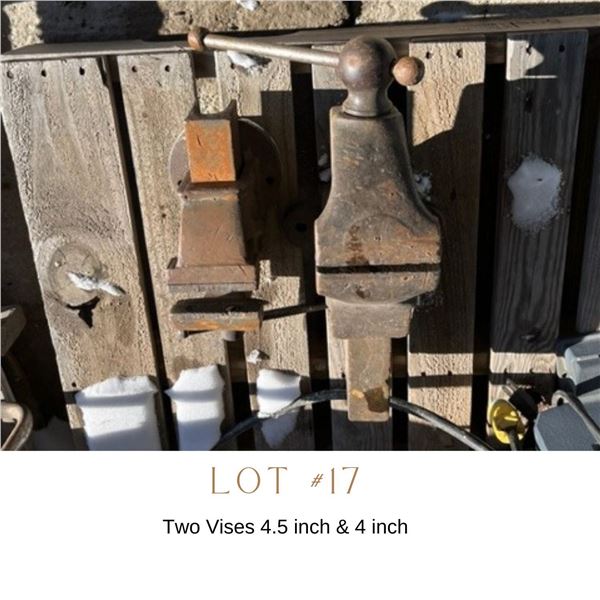 Lot 17