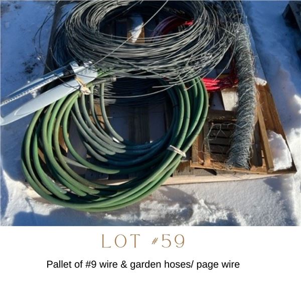 Lot 59
