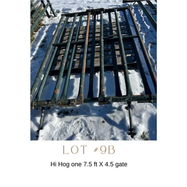 Lot 9B