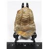 Image 1 : FOSSILIZED TRILOBITE, COMES WITH FOLDING STAND