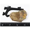 Image 2 : FOSSILIZED TRILOBITE, COMES WITH FOLDING STAND