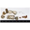 Image 1 : SMALL BAG OF FOSSILS