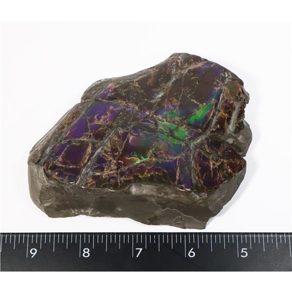 LARGE 5  X 4  AMMOLITE GEM STONE WITH BLUE, PURPLE