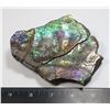 Image 4 : LARGE 5" X 4" AMMOLITE GEM STONE WITH BLUE, PURPLE