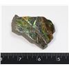 Image 2 : AMMOLITE GEM STONE. HAND POLISHED, NO RESIN