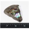 Image 1 : AMMOLITE GEM STONE. HAND POLISHED, NO RESIN