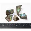Image 1 : SMALL  BAG OF HAND POLISHED AMMOLITE NUGGETS