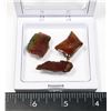 Image 2 : NICE AMMOLITE CHARD, HAND POLISHED AND RESIN