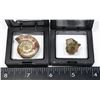 Image 3 : AMMOLITE CHARD AND CUT IN HALF BABY AMMONITE