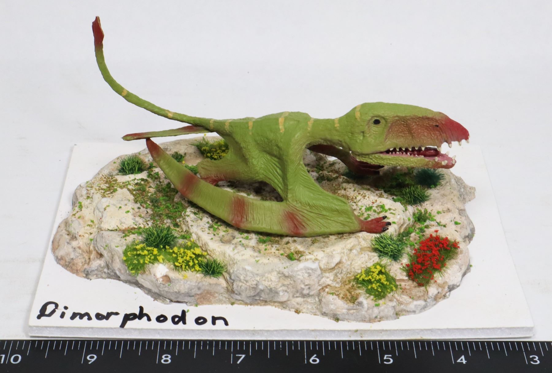 DIMORPHODON DIORAMA