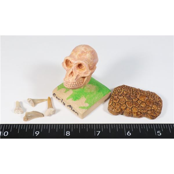 EARLY MAN PLASTIC SKULL COMES WITH REMOVABLE